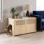 Maison pour chat Modern