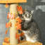 Myla 242 cm H Cat Scratchers-34715302