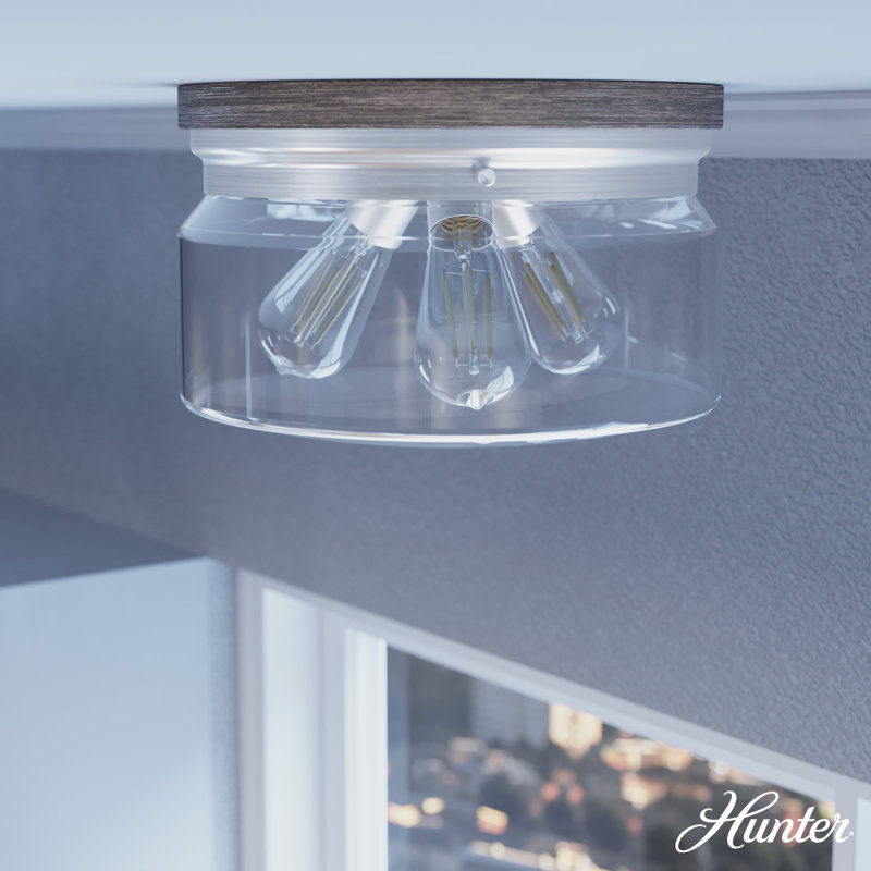 Hunter Devon Park Onyx Bengal And Barnwood 3 Light Flush Mount Ceiling Light Fixture, Brushed Nickel
