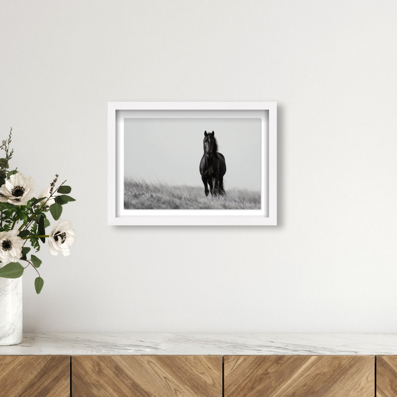 Lone Stallion I Print by Oliver Gal, 11.5" H x 16.5" W, White Shadowbox