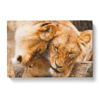 Cuddling Lions - Wrapped Canvas Print