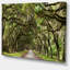Live Oak Tunnel - Imprimé-1604748975-1597033605