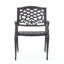 Chaise avec accoudoirs Phoenix (ensemble de 2)-1103591487