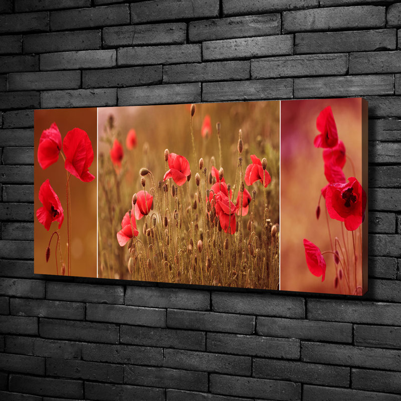 Maki Triptych - Wrapped Canvas Print