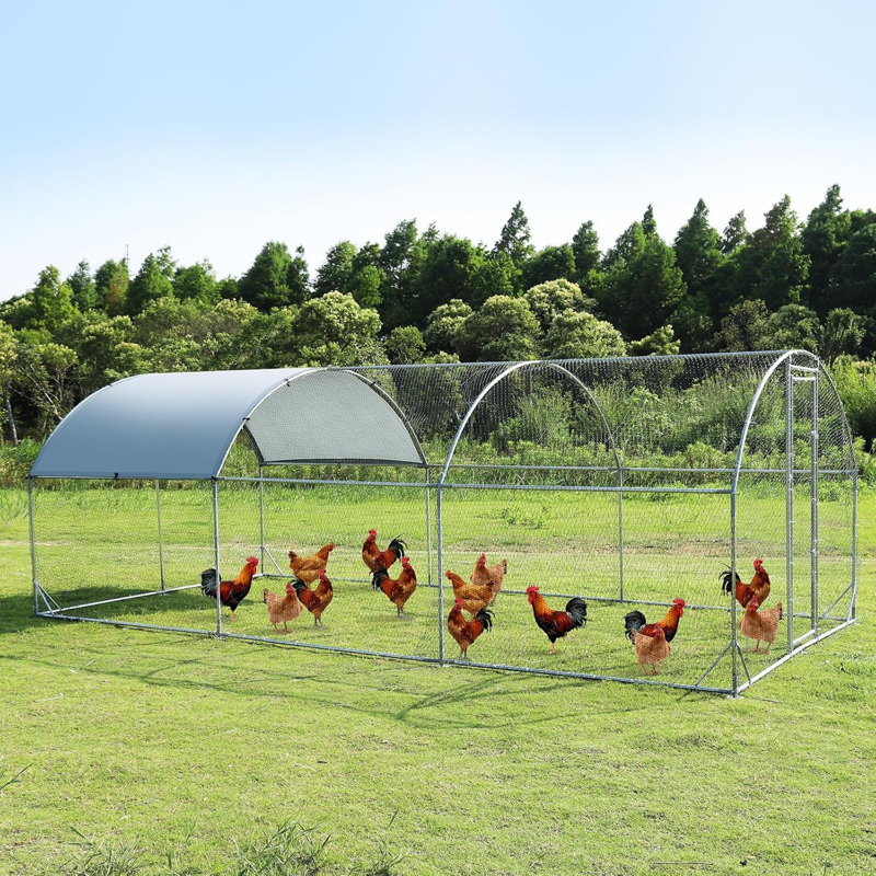 9.2'W x 18.7'L x 6.5'H Walk-in Poultry Cage Metal Chicken Coop