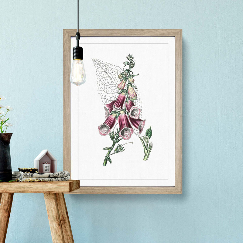 Foxglove Flowers Illustration - Framed Print, Oak Framed, 36cm H x 27cm W x 2cm D