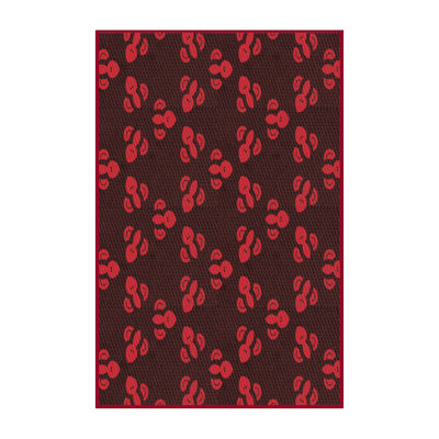 Indoor Rug