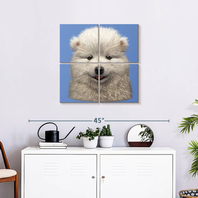 Brampt Samoyed Puppy