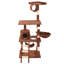 Arbre à chat 62 "-5401655