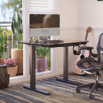 32-inch Electric Standing Desk with a Multi-Functional drawer, Wide Height Adjustment with 4 Memory Preset - Black
