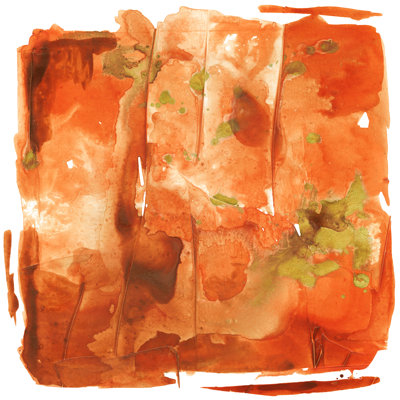 Orange Crush by Joyce Combs - No Frame Print on Canvas