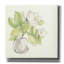 «Plant Magnolia II» par Chris Paschke, estampe numérique sur toile-541041707