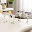 295.7ml Silver Margarita Glass