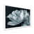Cadre simple blanc, bois massif