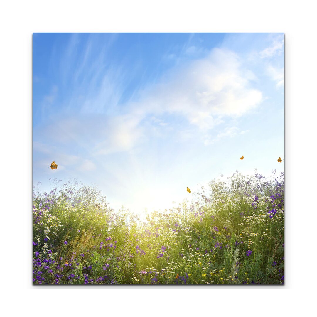 Leinwandbild Sommerliche Blumenwiese