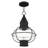 Aster Outdoor Hanging Lantern-1189298492