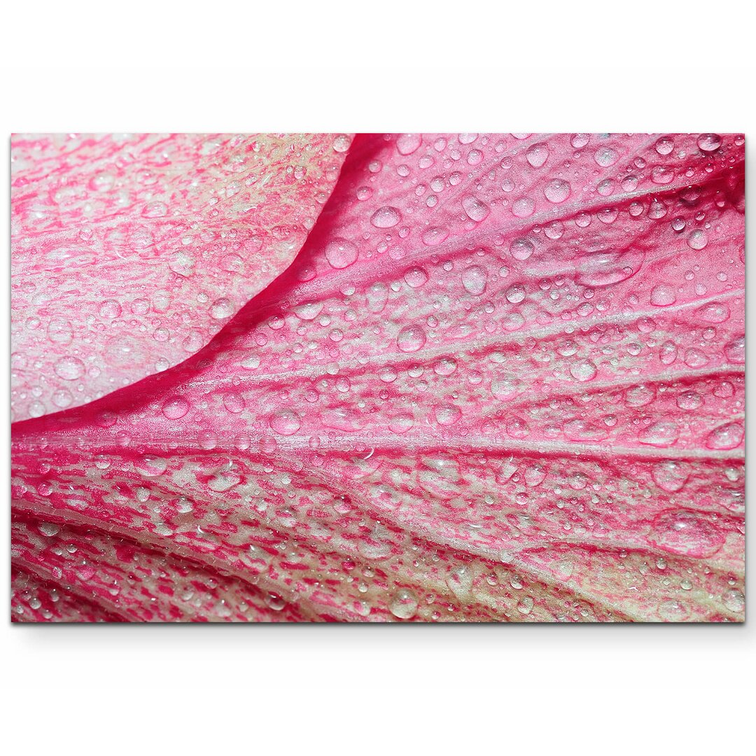 Leinwandbild Pinke Blume – Nahaufnahme