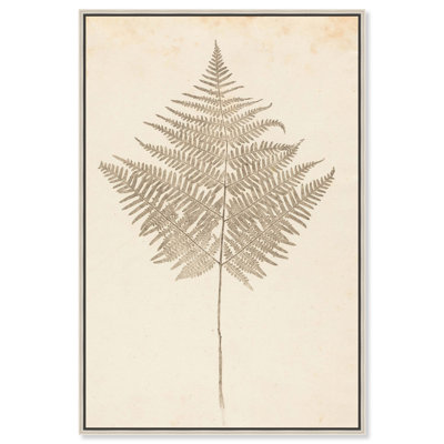 «Fern Frond», reproduction d'art sur toile par Art Remedy