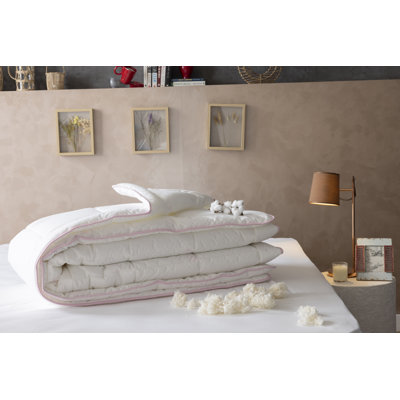 Duvetta 100% Cotton Comforter With 100% Cotton Fabric Cover Premium Quality Cotton -all Season Useable- Duvet-medium Weight Quilt Twin Size (66inch×88inch)
