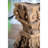 Dorell Solid Wood Accent Stool