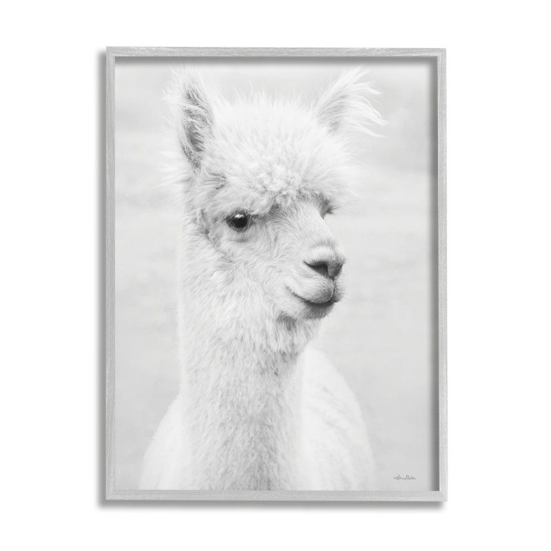 Animal de ferme alpaga monochrome - photographie, H 20 po x l 16 po x P 1,5 po, Estampe numérique Farmhouse