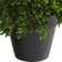 10in. Boxwood Topiary Artificial Plant UV Resistant (Indoor/Outdoor)