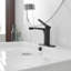 Robinet de salle de bain à un trou