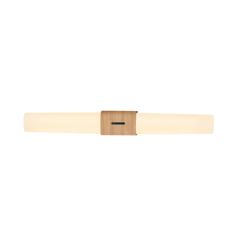 Helva Plastic LED Flush Mounted Sconce