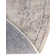 Cantey Oriental Indoor Rug