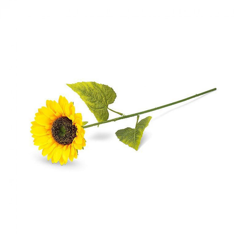 Arrangement de tiges, de buissons et de jets de tournesol