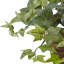 Plante ivy artificielle 13" en panier