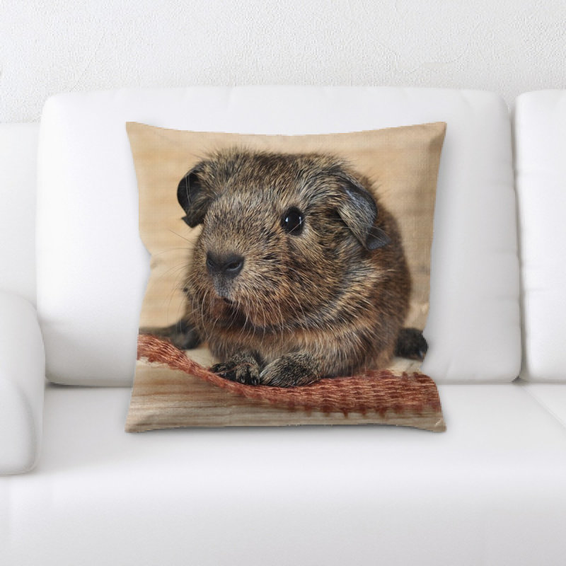Housse et insert de coussin carré cochon d'Inde