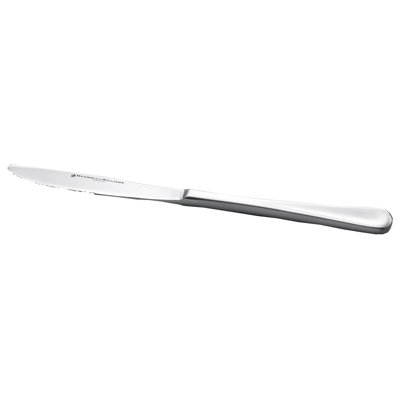 Stainless Steel Dinner Knife