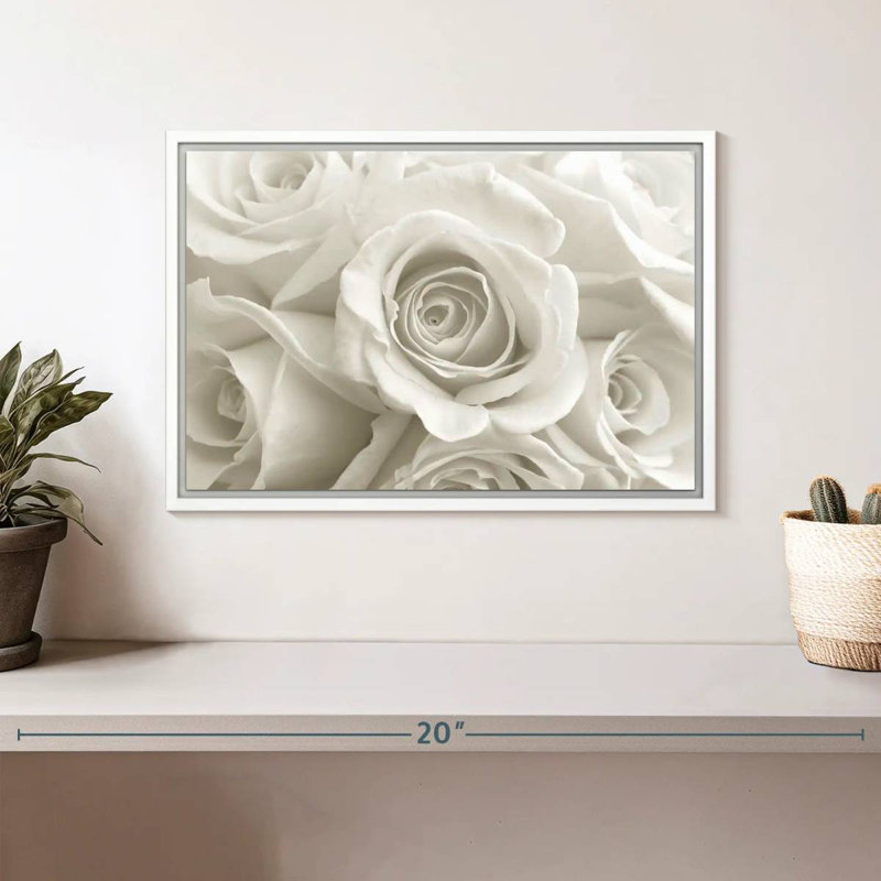 Roses blanches pures, Cadre flottant blanc, 13 po x 9 po