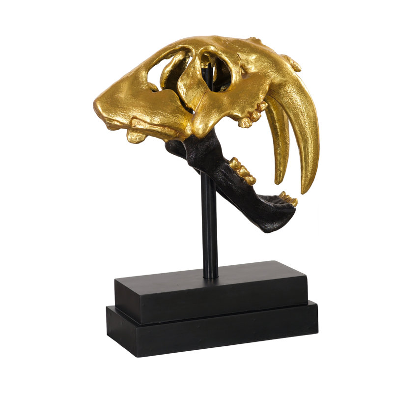 Tooth Tiger Skull, Black/Gold