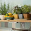 Astaire Pot Planter