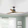 Hover 52" Indoor/Outdoor Integrated LED Propeller Ceiling Fan with Remote