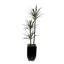 71"H  Artifical Yucca Tree with Pebbles in Black Tin Planter-39832109