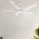 Alcie 5 - Blade LED Smart Standard Ceiling Fan with Remote Control and Light Kit Included