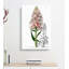 Spiked Orchid - Wrapped Canvas-55329493