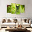 Chat noir Brampt-108886218
