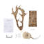 Lampe murale Antler, applique murale décorative, lanterne murale rétro-2057176048