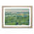 Oak Framed selected