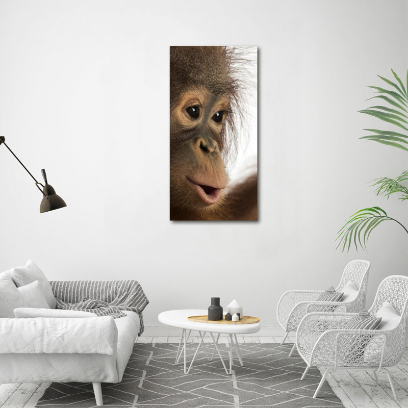 A Young Orangutan - Wrapped Canvas Print