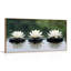 «Water Lilies», reproduction d'art sur toile encadrée de 1 48 po x 24 po-1406869005