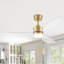Ventilateur de plafond 52 po Zorien-1031038912