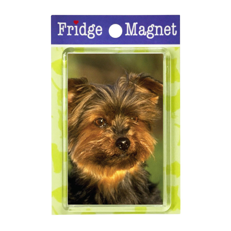 Fridge Magnet