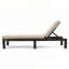 Chaise longue d'extérieur 2 pièces en rotin