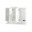 Mirror Cabinet with Lighting-66190695