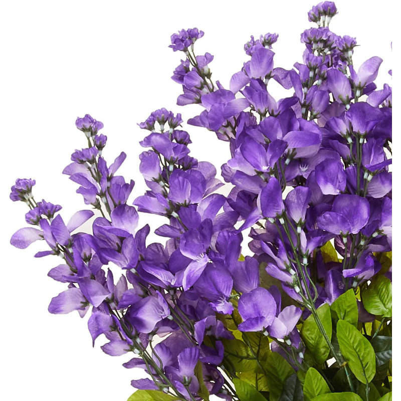 Tiges de glycine, Lavande
